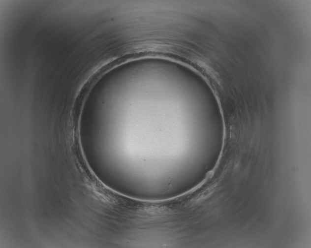 X0000073481117200608071013