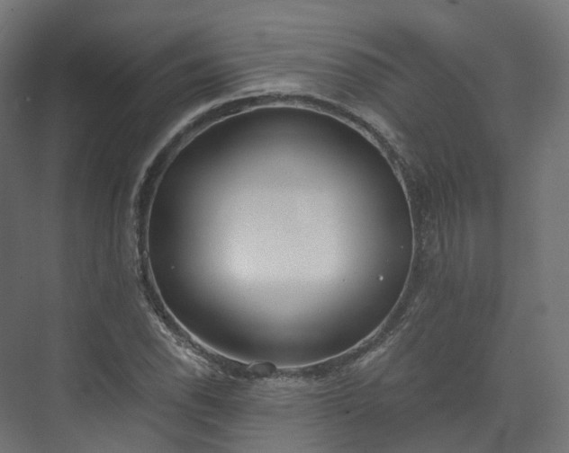 X0000073481118200608071014