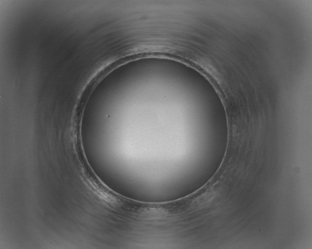 X0000073481119200608071014