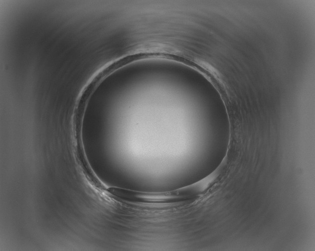 X0000073481120200608071014