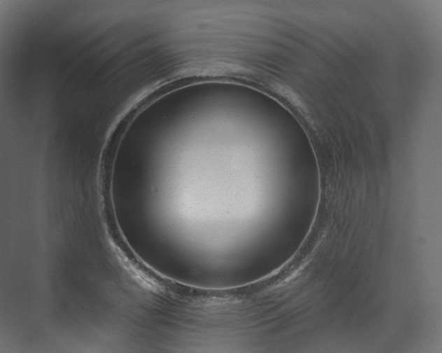 X0000073481122200608071014