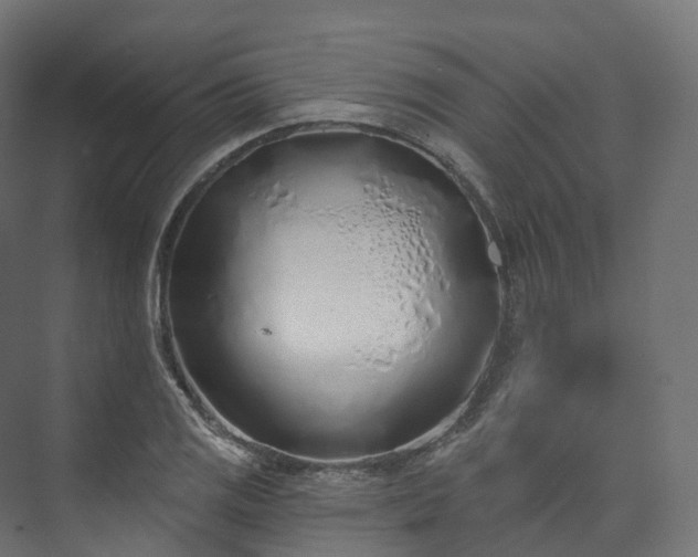 X0000073481125200608071014