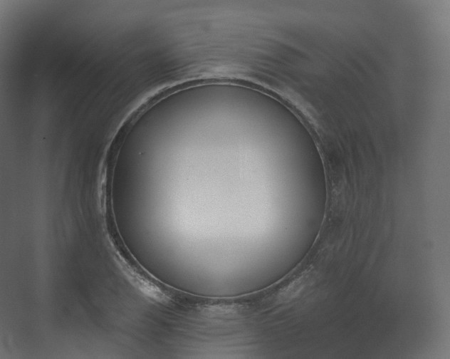 X0000073481126200608071014