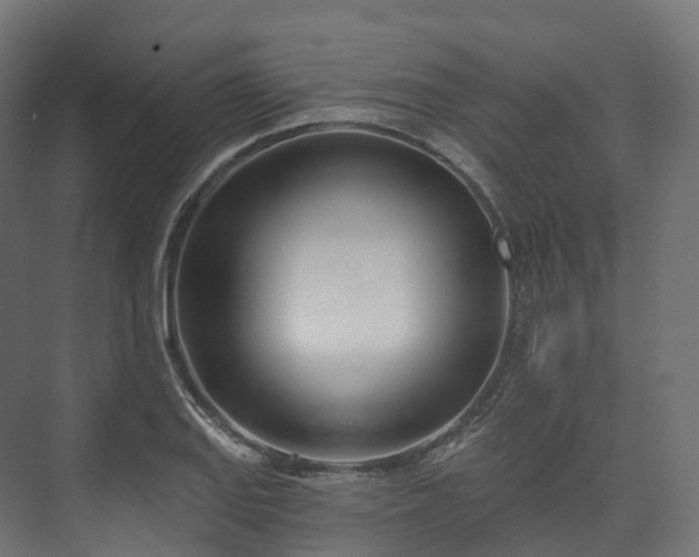 X0000073481127200608071014