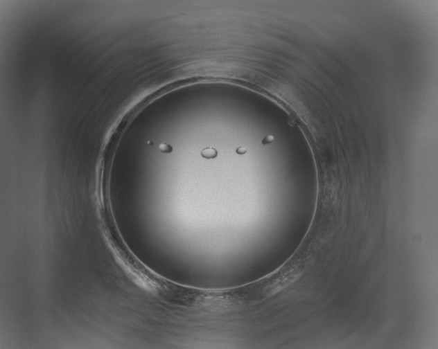 X0000073481128200608071014