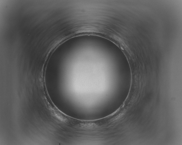 X0000073481129200608071014