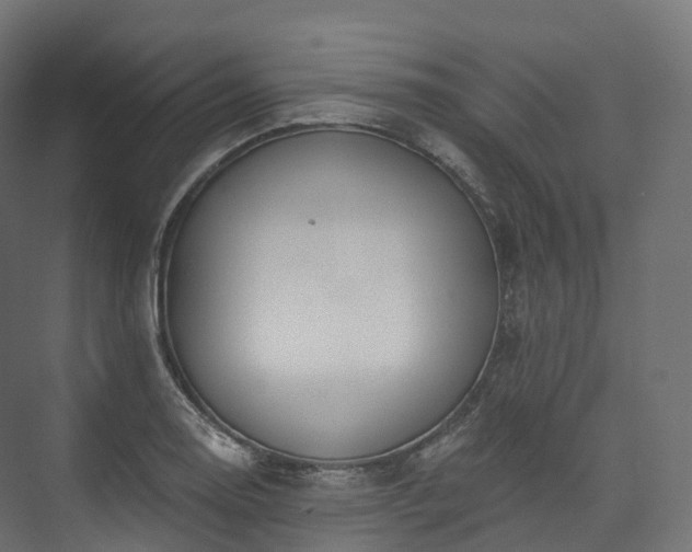 X0000073481130200608071014