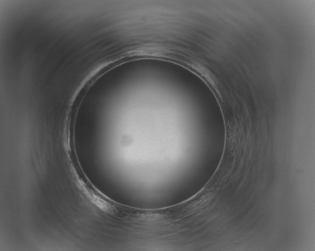 X0000073481131200608071014