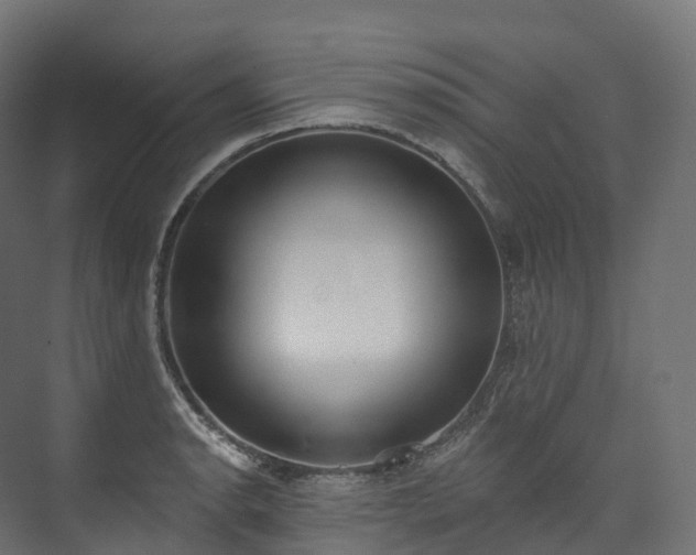 X0000073481134200608071014