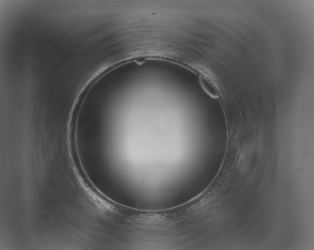 X0000073481135200608071014