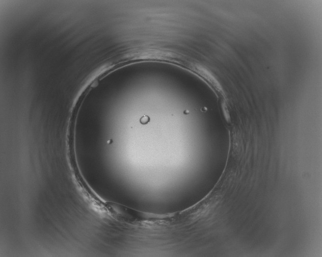 X0000073481138200608071014