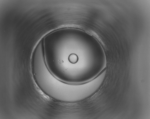 X0000073481140200608071014