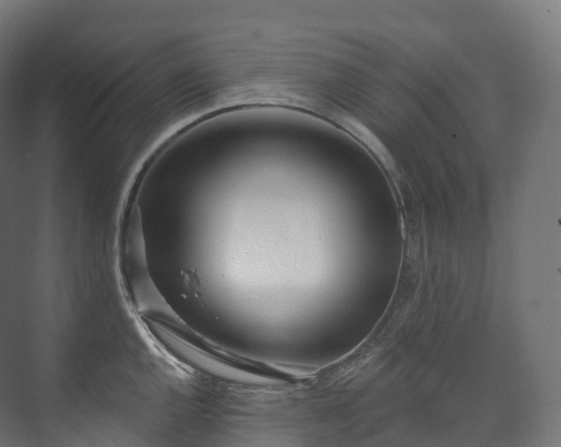 X0000073481144200608071014