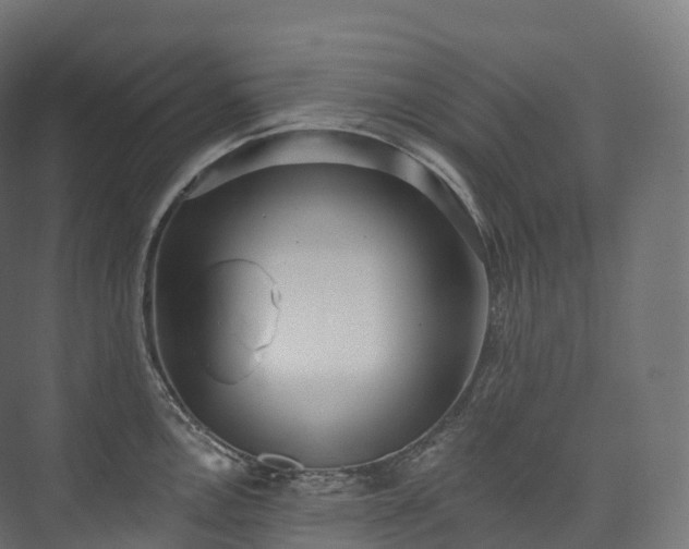 X0000073481146200608071014