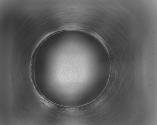 X0000073481147200608071014