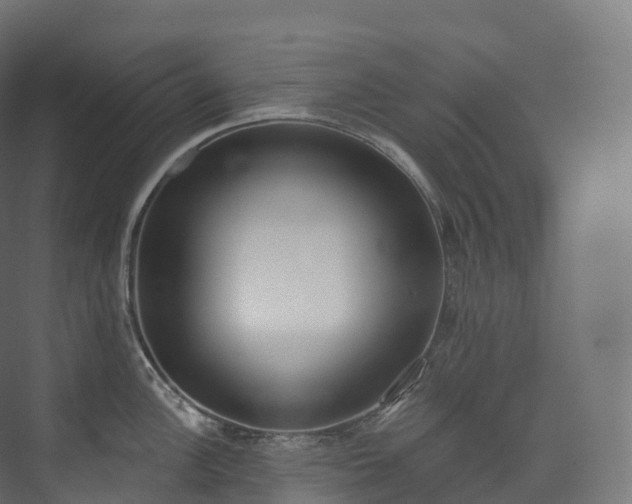 X0000073481148200608071014