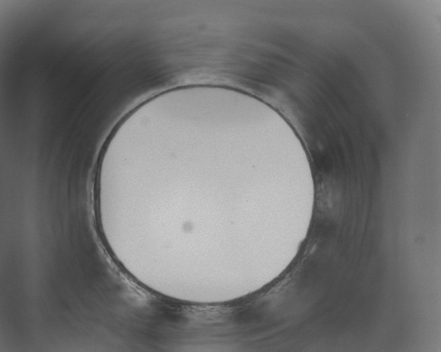 X0000073481150200608071014