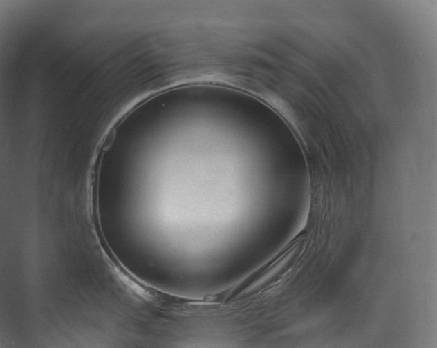 X0000073481151200608071014