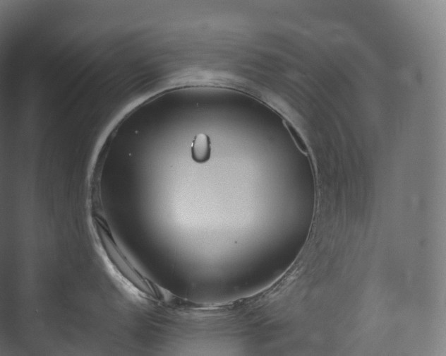 X0000073481152200608071014