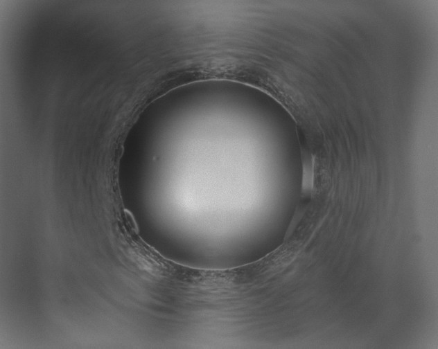 X0000073481153200608071013