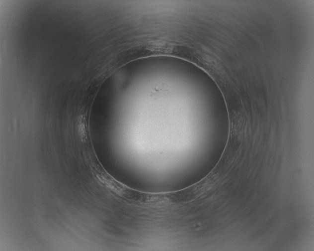 X0000073481154200608071013