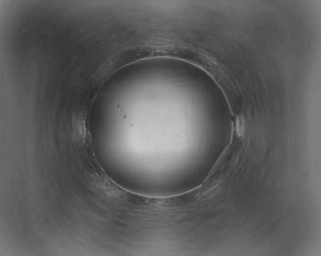 X0000073481155200608071013