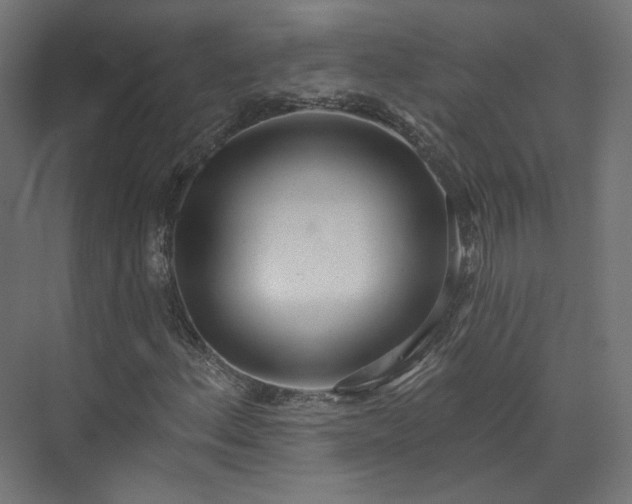 X0000073481156200608071013