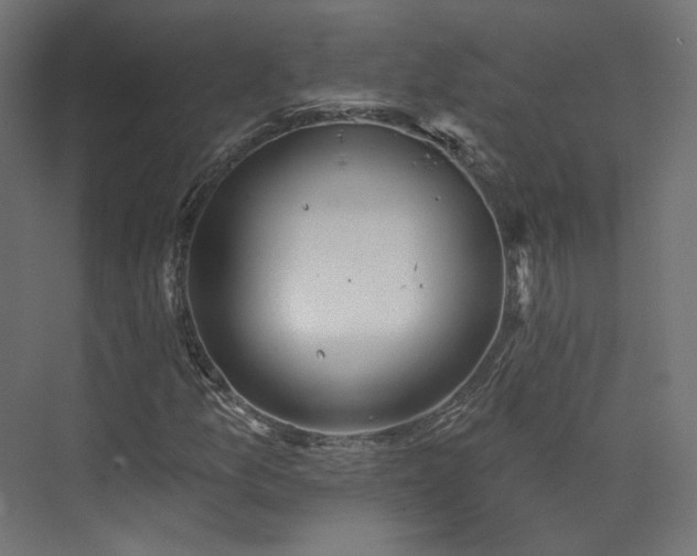 X0000073481157200608071013