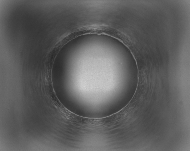 X0000073481158200608071013