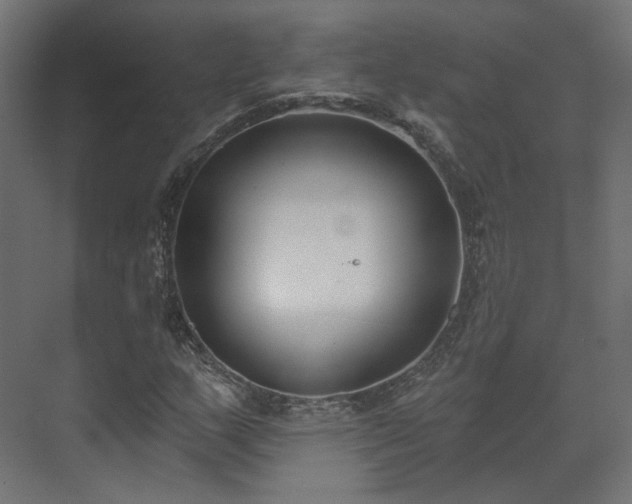 X0000073481159200608071013