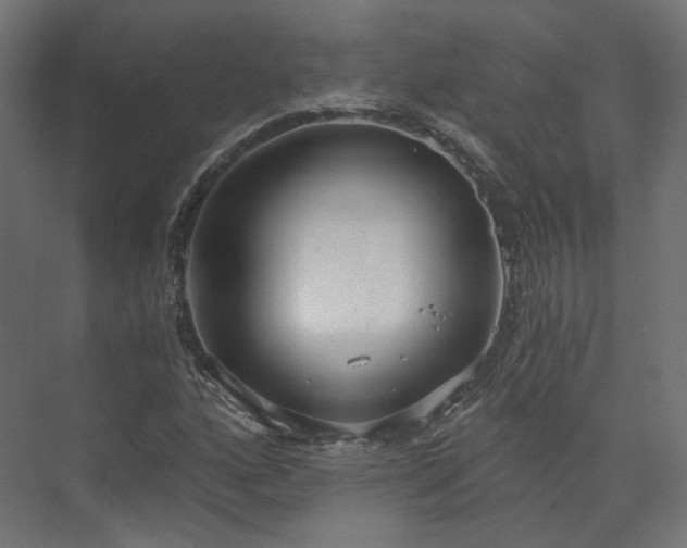 X0000073481160200608071013