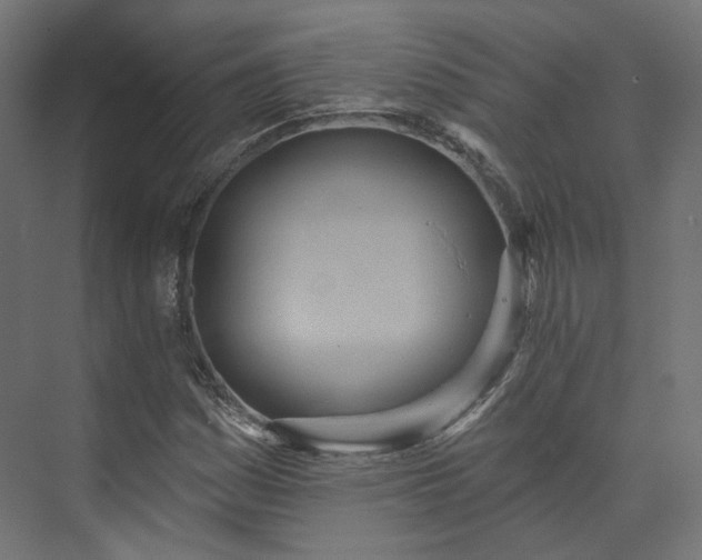 X0000073481161200608071013