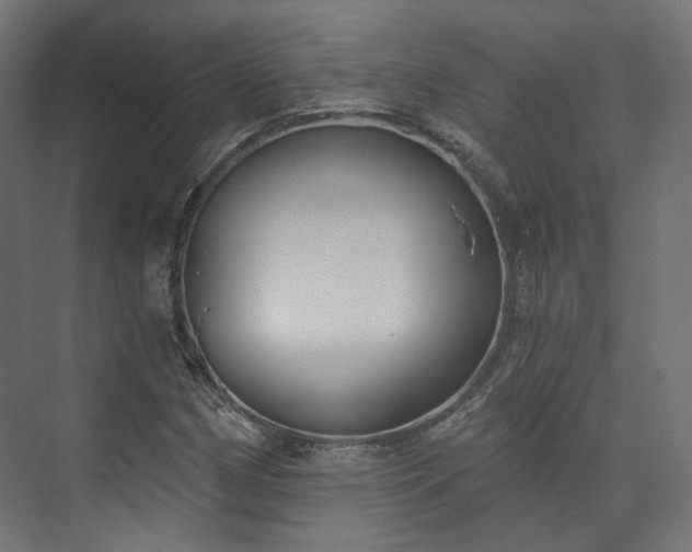 X0000073481162200608071013