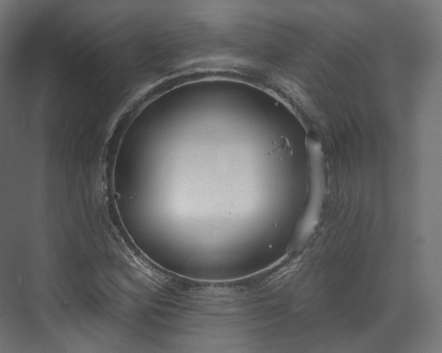 X0000073481164200608071013