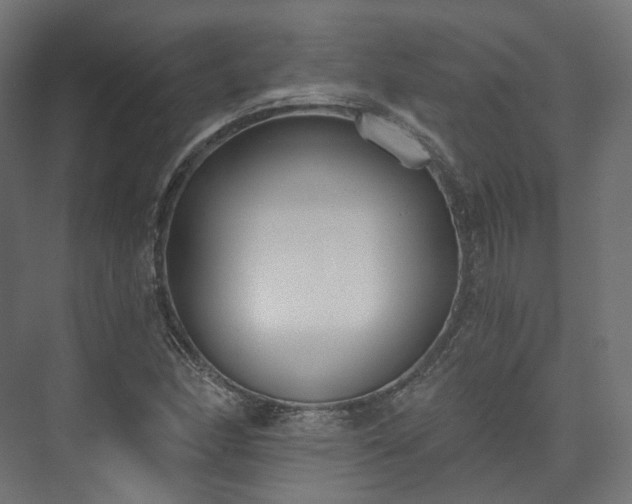 X0000073481166200608071013