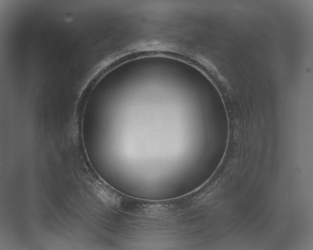 X0000073481167200608071013