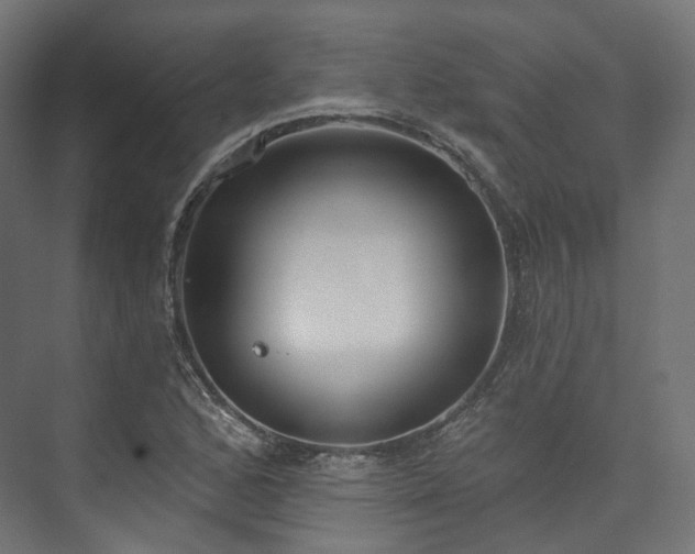 X0000073481168200608071013