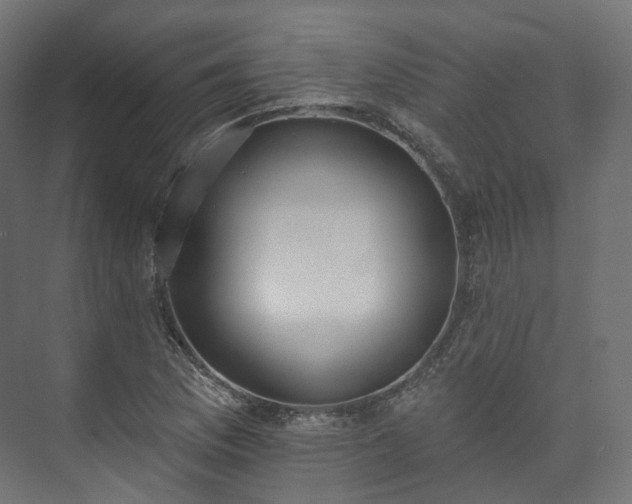 X0000073481169200608071013