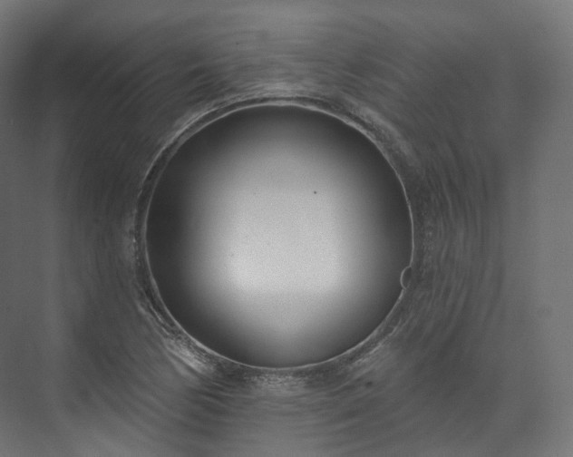 X0000073481170200608071013