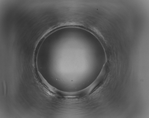 X0000073481173200608071013