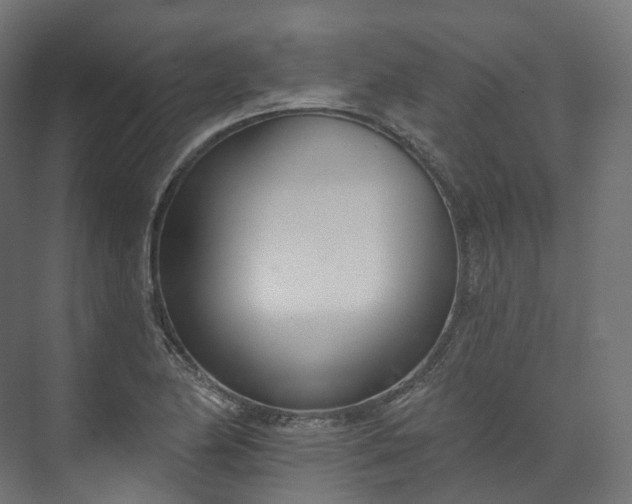 X0000073481174200608071013