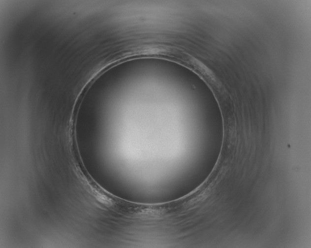 X0000073481178200608071013