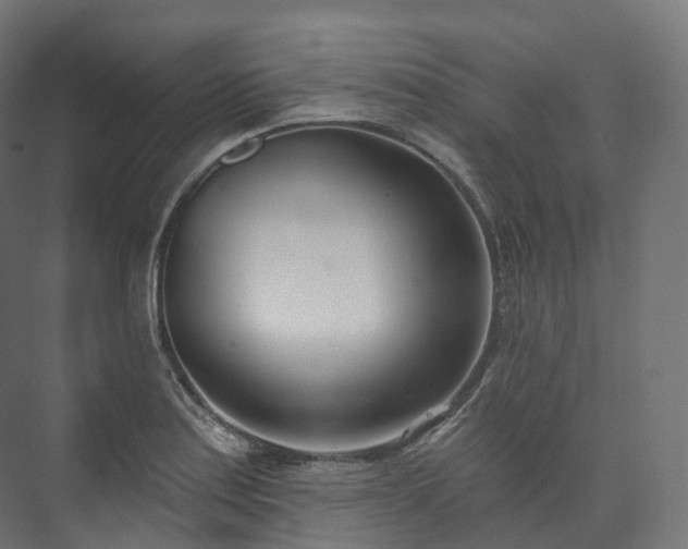 X0000073481179200608071013