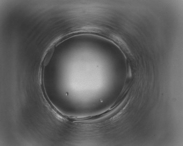 X0000073481180200608071013