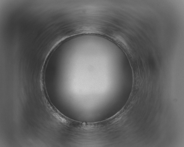 X0000073481182200608071013