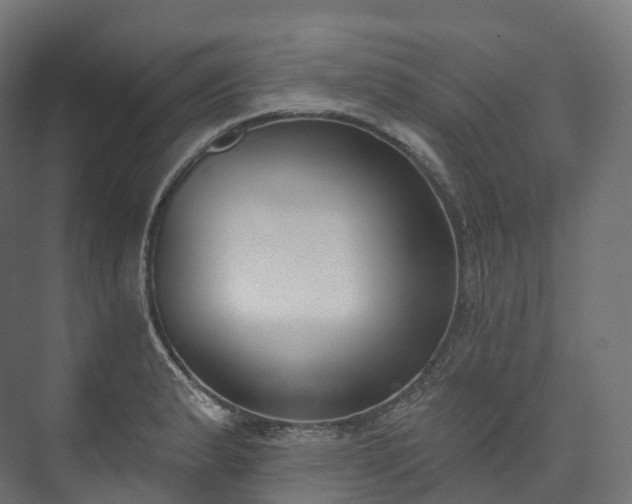 X0000073481183200608071013