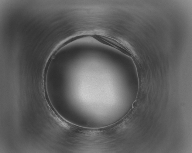 X0000073481184200608071013