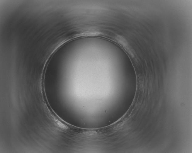 X0000073481186200608071013