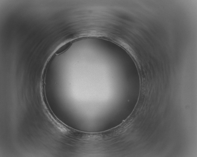 X0000073481187200608071013