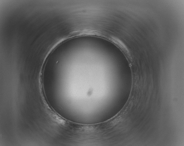 X0000073481190200608071013